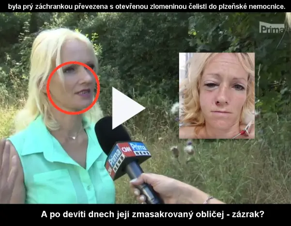 Snímek obrazovky 8445