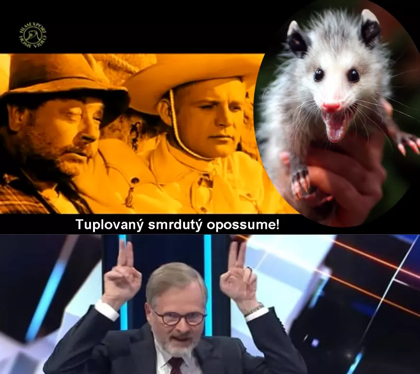 Snímek obrazovky 12748 5d43a