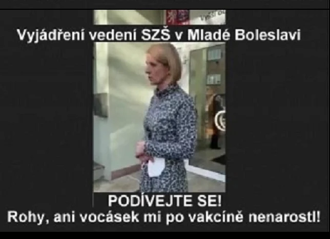 ZS Mlada Boleslav ucitelka 0d246