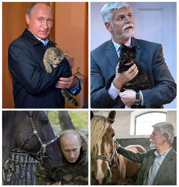 prezident zvířátka ec4b0