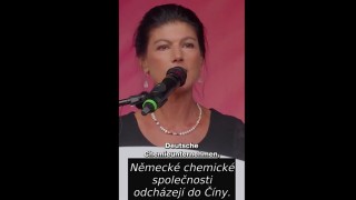 Německo se ekonomicky hrout&iacute; a s&iacute;l&iacute; hlasy po m&iacute;ru jako u n&aacute;s!