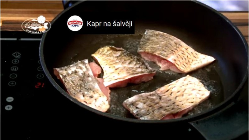 Vánoční kapr komunista aneb Seznam je snad všech pošuků zfanatizovaných plný futrál: Bastlová, Sedláčková...