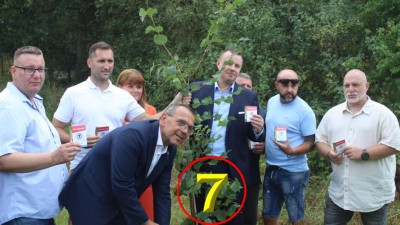 Strom lásky na úpatí hory Říp v rukách rodící se koalice lidu: SPD, Trikolory a PRO