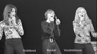 Marta Kubišová: Porno montáž, která jí zničila život!