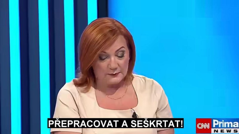 Byla Schillerov&aacute; s Babi&scaron;em u schvalov&aacute;n&iacute; rozpočtu ožral&aacute;, nebo si z n&aacute;s vystřelila?
