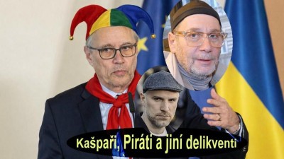 Nem&aacute; komediant (b&yacute;val&yacute;) T&ouml;pfer na sen&aacute;torstv&iacute; už př&iacute;li&scaron; vysok&yacute; věk, že nic nech&aacute;pe...