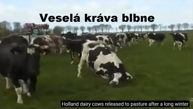 Přestaly snad krávy hrůzou prdět, že je zima jak v psinci?