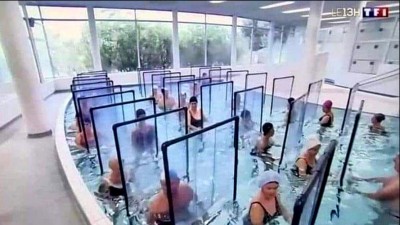 Vzpomínáte, jak z vás Babiš, Vojtěch a covid-fajzr udělal tupé ovce a vy jste aportovali, jak sběř zavelela?