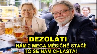 Neskutečná drzost vyžraného prasete Vondry (ODS): seberte důchodcům, já mám měsíčně jen necelých půl milionu !