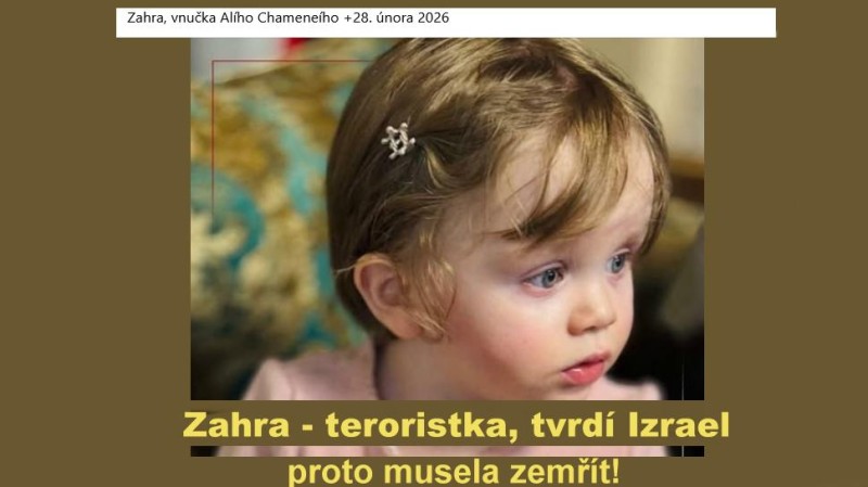 Kupuje&scaron; americkou ropu a plyn? Sponzoruje&scaron; t&iacute;m masakry nevinn&yacute;ch dět&iacute; izraelskou a americkou arm&aacute;dou!