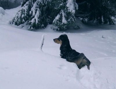 Kvůli klimatu stojí za to trochu zchudnout, říká finančník