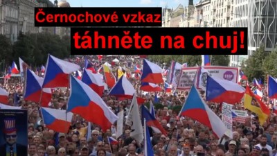 V neděli další protest českých občanů, neboli fašistické lůzy, špíny, dezolátů, vodpadu, kryplů, či švábů, jak nás nazývají!
