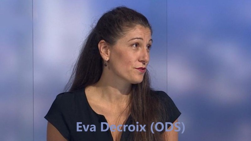 Eva Decroix (ODS): lůza &quot;votravuje&quot;, že si chci jako poslankyně přidat nějakých pitomých 10 000Kč!