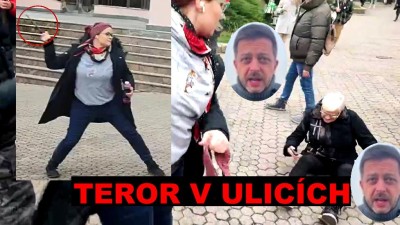 Upozornění zahraničním turistům: v České republice nyní legálně operují teroristické skupiny a policie...?