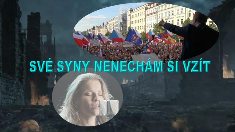 Může mít sílu reagovat Jindřich Rajchl na duševně omezené darebáky typu Cempera Manipulátora, či Lenky Hlouškové z Novinek.cz?