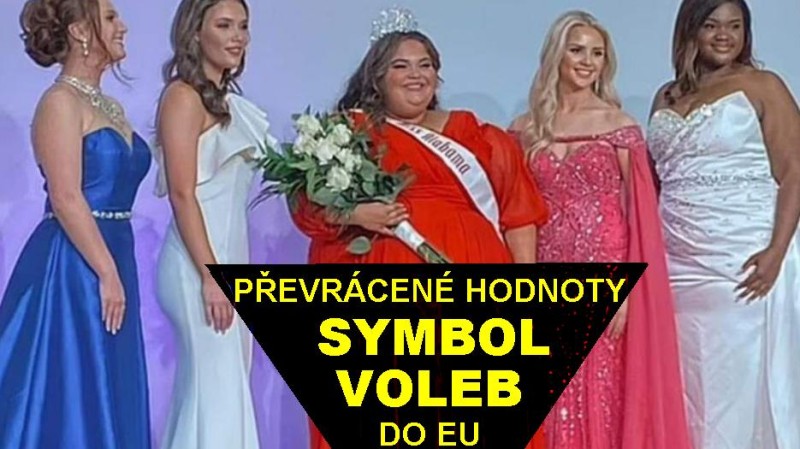 Jak dopadly volby do EU? Vyhrál Babiš, morálně s převahou Jindřich Rajchl a strana PRO