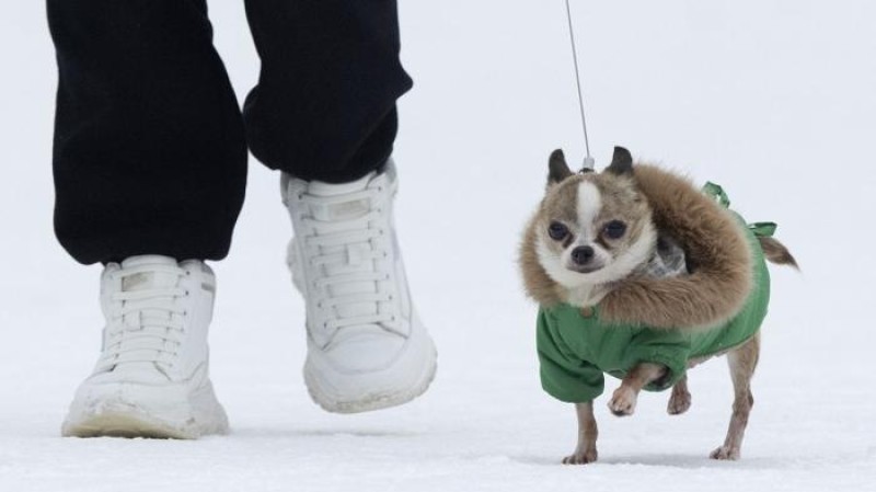 Globální oteplování? Moskvany čeká nejchladnější pětidenní období od začátku století