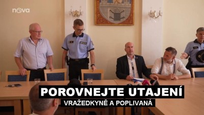 Když pravdomluvná Rakušanova policie řekne, že 13 letá bodající žákyně Ukrajinka není, tak není!