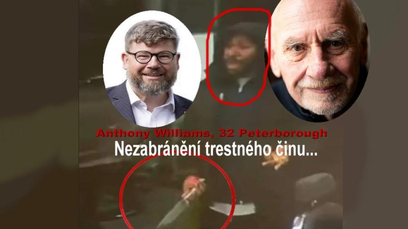 Jsou spoluzodpovědni Pospíšil a Rychetský za masakry nožem ve vlacích?